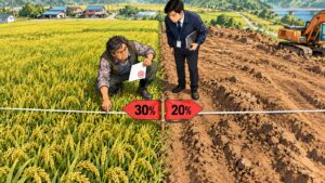 논 한가운데를 흰 밧줄이 가로지르고 그 위 붉은 깃발에 30%와 20%가 적혀 있으며 왼쪽은 벼가 자라고 오른쪽은 흙이 파헤쳐진 장면